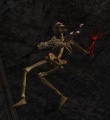 Esqueleto de Sura 5.jpg