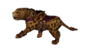 Leopardo Cub2.png